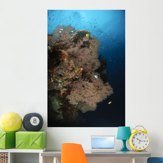 Sea Fans Fiji Wall Decal Design 1