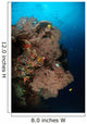 Sea Fans Fiji Wall Decal Design 1