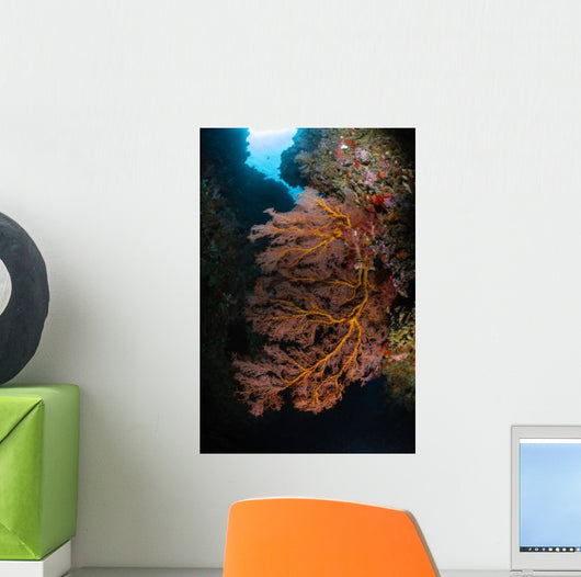 Sea Fan and Soft Wall Decal