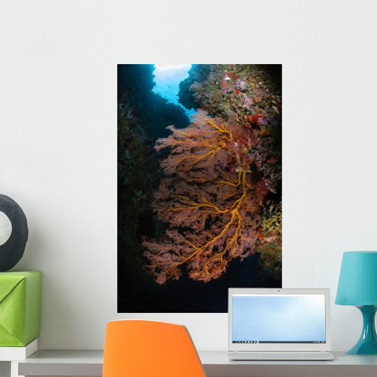 Sea Fan and Soft Wall Decal