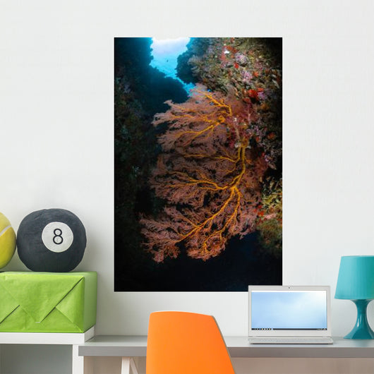 Sea Fan and Soft Wall Decal