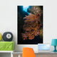 Sea Fan and Soft Wall Decal