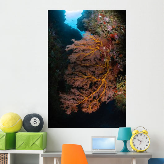 Sea Fan and Soft Wall Decal