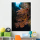 Sea Fan and Soft Wall Decal