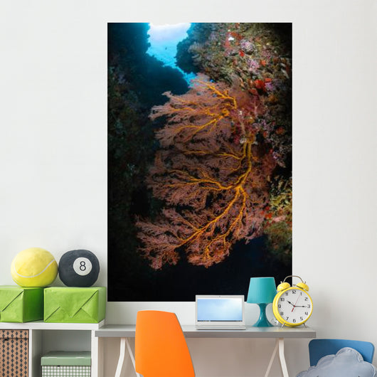 Sea Fan and Soft Wall Decal
