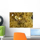Bumblebee Shrimp Adhesive Anemone Wall Decal Design 2