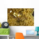 Bumblebee Shrimp Adhesive Anemone Wall Decal Design 2