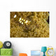 Bumblebee Shrimp Adhesive Anemone Wall Decal Design 2