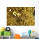 Bumblebee Shrimp Adhesive Anemone Wall Decal Design 2