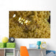 Bumblebee Shrimp Adhesive Anemone Wall Decal Design 2