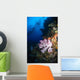 Soft Coral Seascape Fiji Wall Decal Design 4