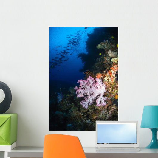 Soft Coral Seascape Fiji Wall Decal Design 4