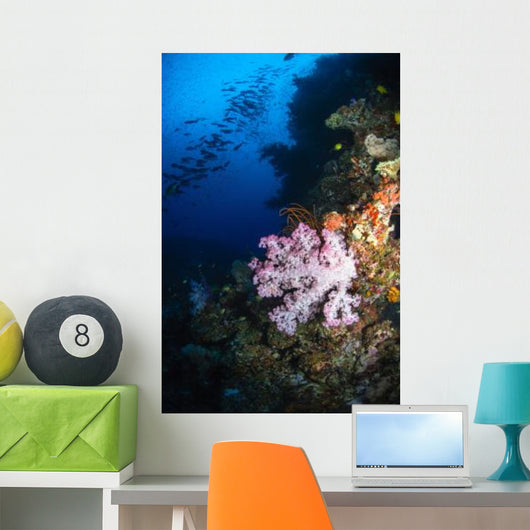 Soft Coral Seascape Fiji Wall Decal Design 4