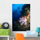 Soft Coral Seascape Fiji Wall Decal Design 4