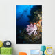 Soft Coral Seascape Fiji Wall Decal Design 4