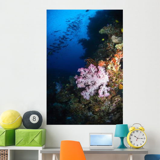 Soft Coral Seascape Fiji Wall Decal Design 4