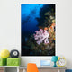 Soft Coral Seascape Fiji Wall Decal Design 4