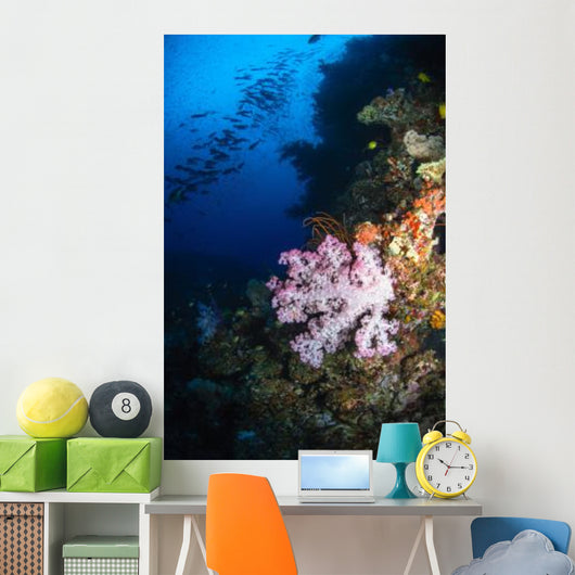 Soft Coral Seascape Fiji Wall Decal Design 4