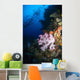 Soft Coral Seascape Fiji Wall Decal Design 4