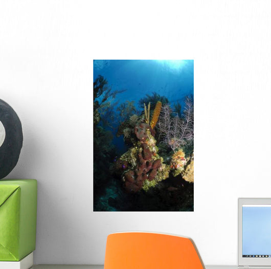 Coral and Sponge Reef Wall Decal Design 5