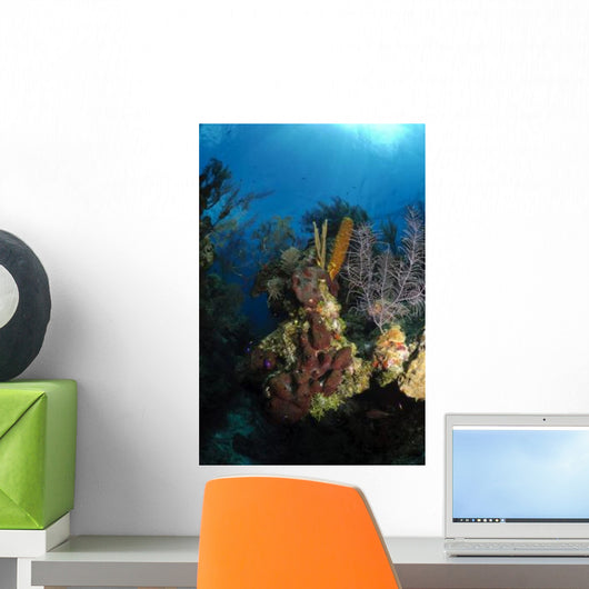 Coral and Sponge Reef Wall Decal Design 5