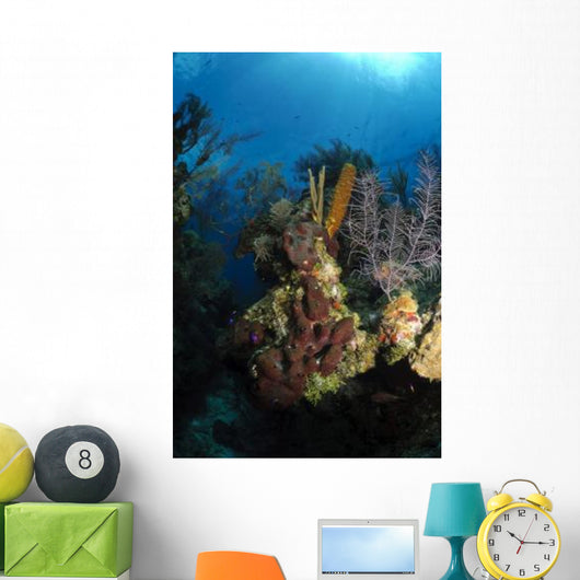 Coral and Sponge Reef Wall Decal Design 5
