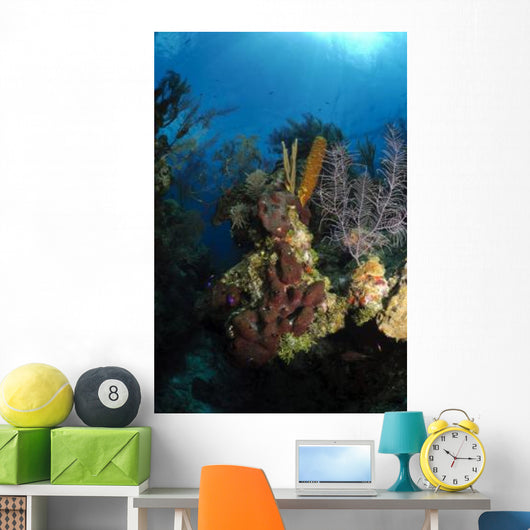 Coral and Sponge Reef Wall Decal Design 5