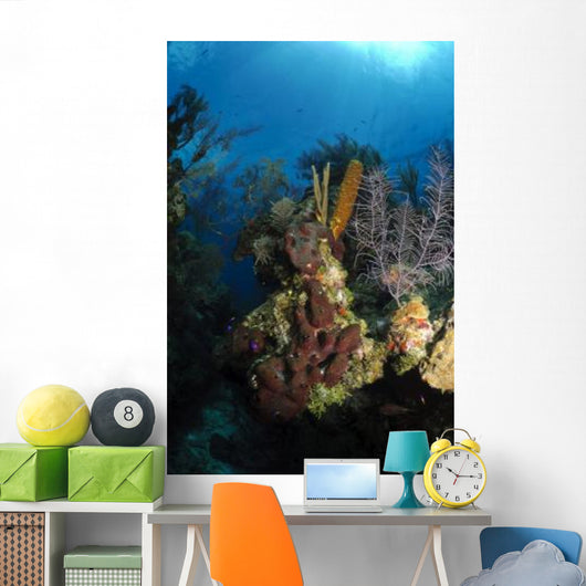 Coral and Sponge Reef Wall Decal Design 5