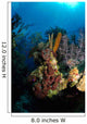Coral and Sponge Reef Wall Decal Design 5