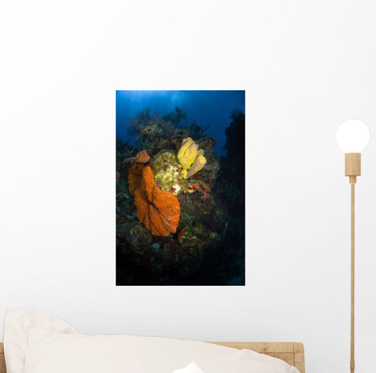 Coral and Sponge Reef Wall Decal Design 4