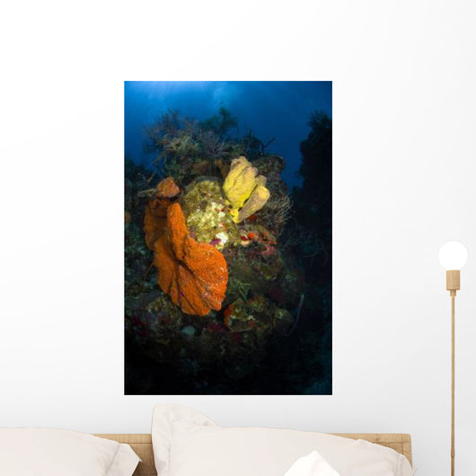 Coral and Sponge Reef Wall Decal Design 4