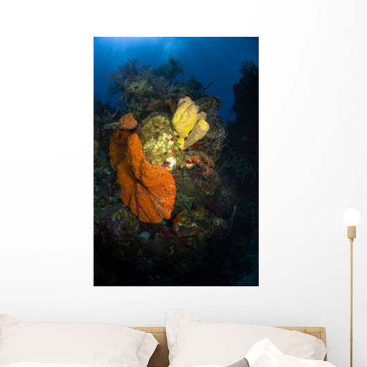 Coral and Sponge Reef Wall Decal Design 4