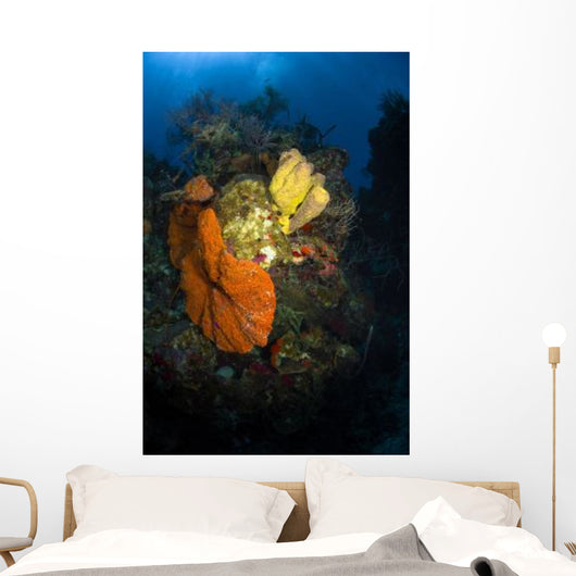 Coral and Sponge Reef Wall Decal Design 4