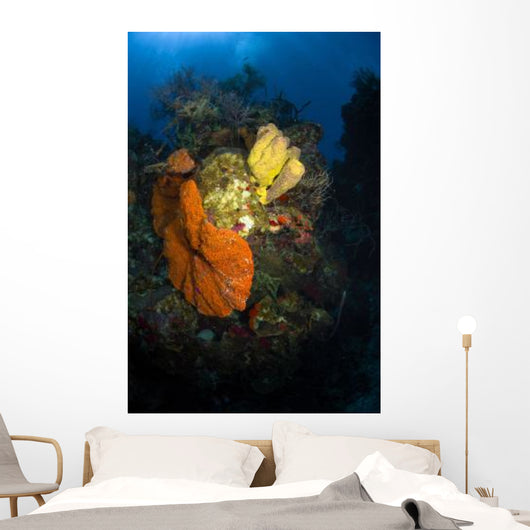 Coral and Sponge Reef Wall Decal Design 4