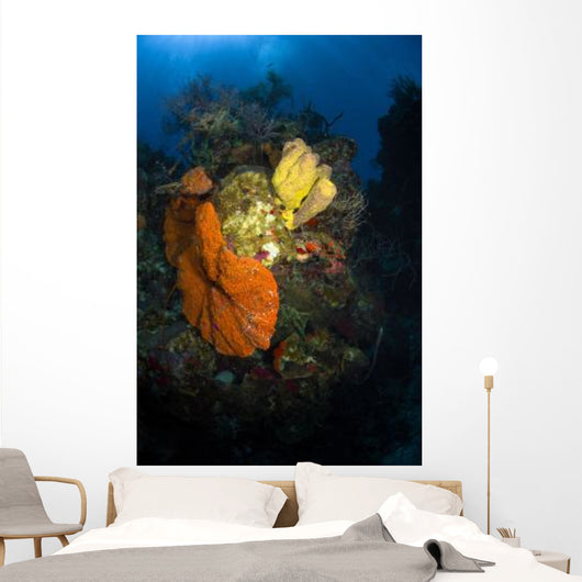 Coral and Sponge Reef Wall Decal Design 4