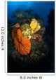 Coral and Sponge Reef Wall Decal Design 4
