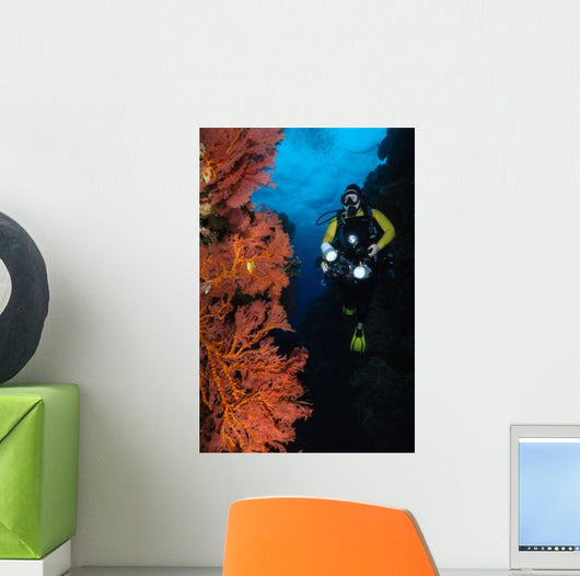 Diver and Sea Fans Wall Decal