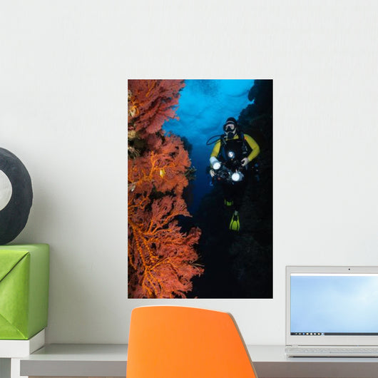 Diver and Sea Fans Wall Decal