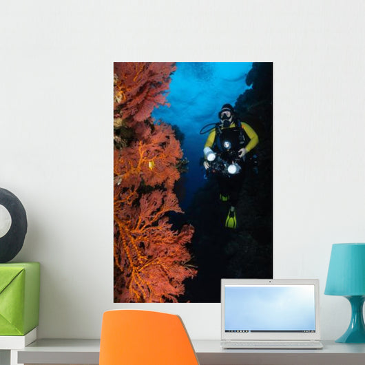 Diver and Sea Fans Wall Decal