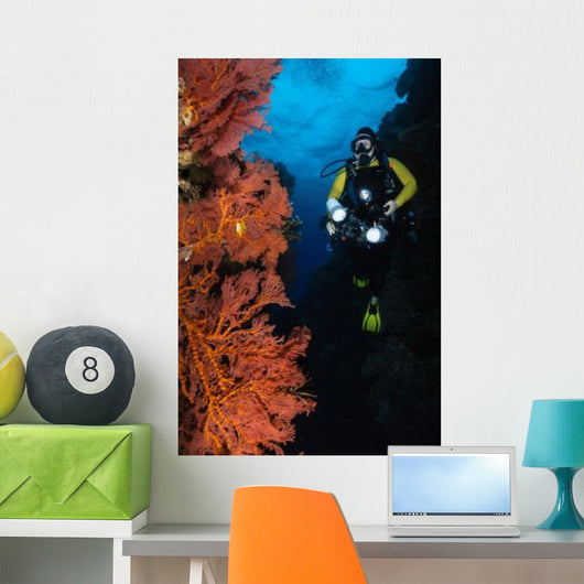 Diver and Sea Fans Wall Decal