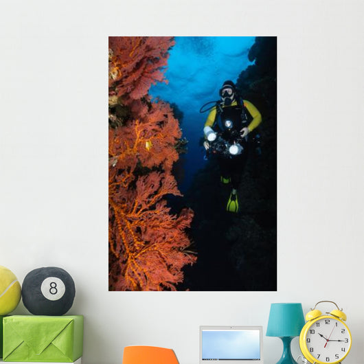 Diver and Sea Fans Wall Decal