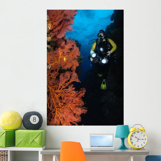 Diver and Sea Fans Wall Decal