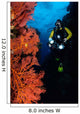 Diver and Sea Fans Wall Decal