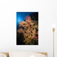 Sea Fans and Sea Wall Decal Design 2