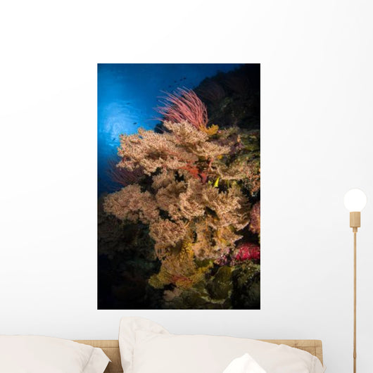 Sea Fans and Sea Wall Decal Design 2