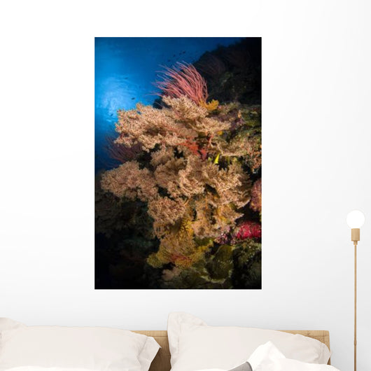 Sea Fans and Sea Wall Decal Design 2