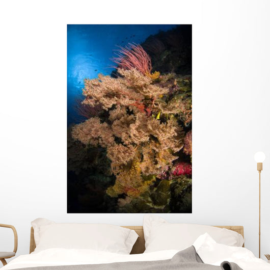 Sea Fans and Sea Wall Decal Design 2