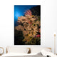Sea Fans and Sea Wall Decal Design 2