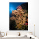 Sea Fans and Sea Wall Decal Design 2