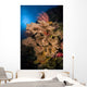 Sea Fans and Sea Wall Decal Design 2